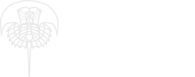 Treatise Online logo